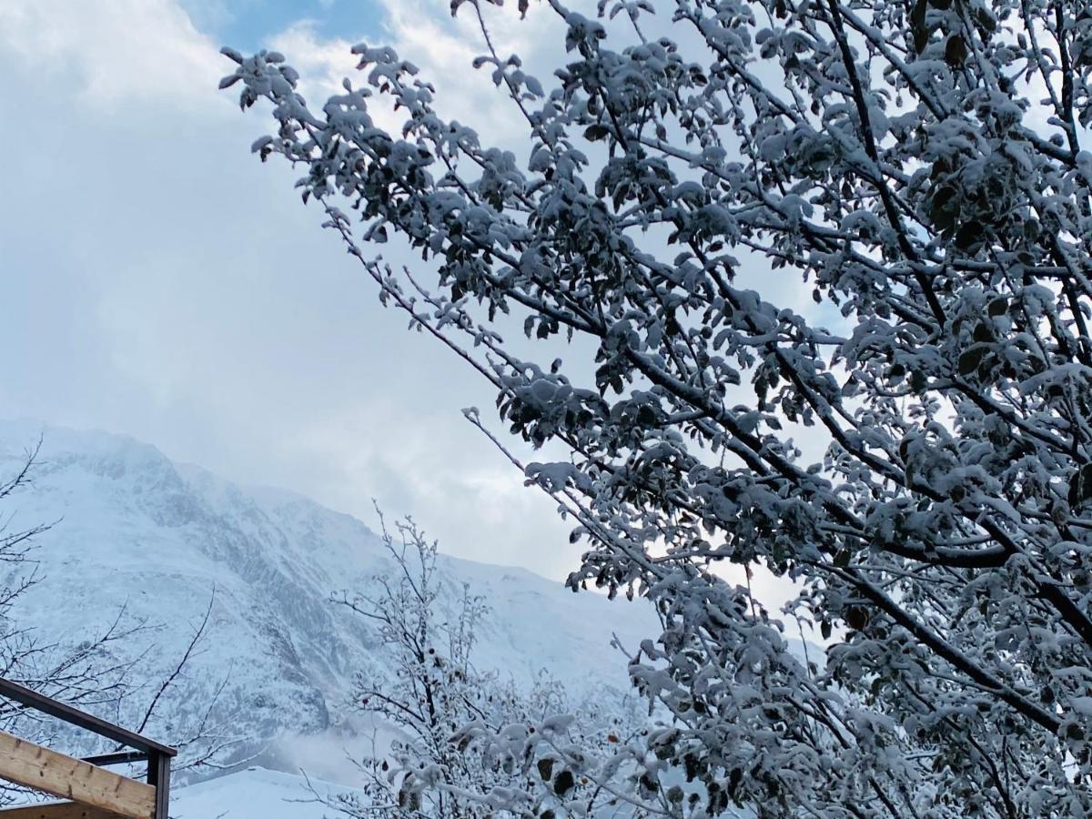 Hotel Kazbegi 1963 Dış mekan fotoğraf
